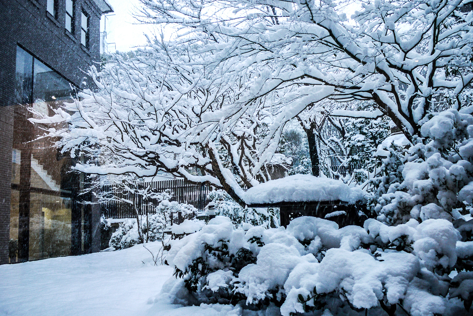 四季を彩る中庭 雪