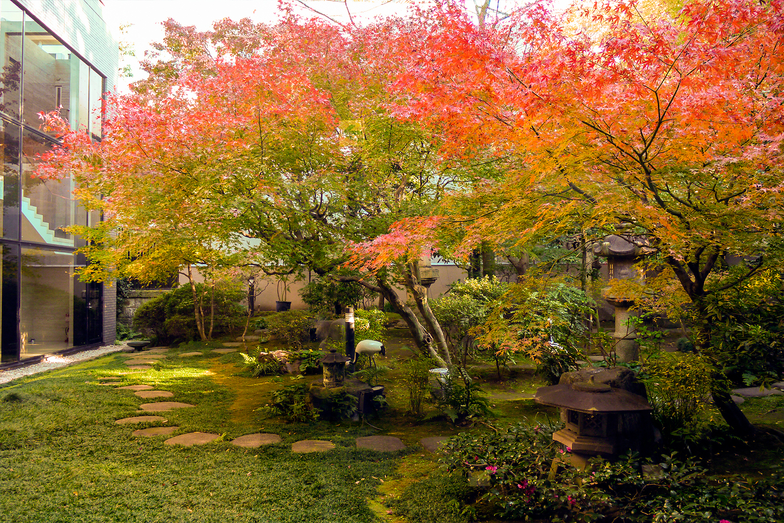 四季を彩る中庭 紅葉