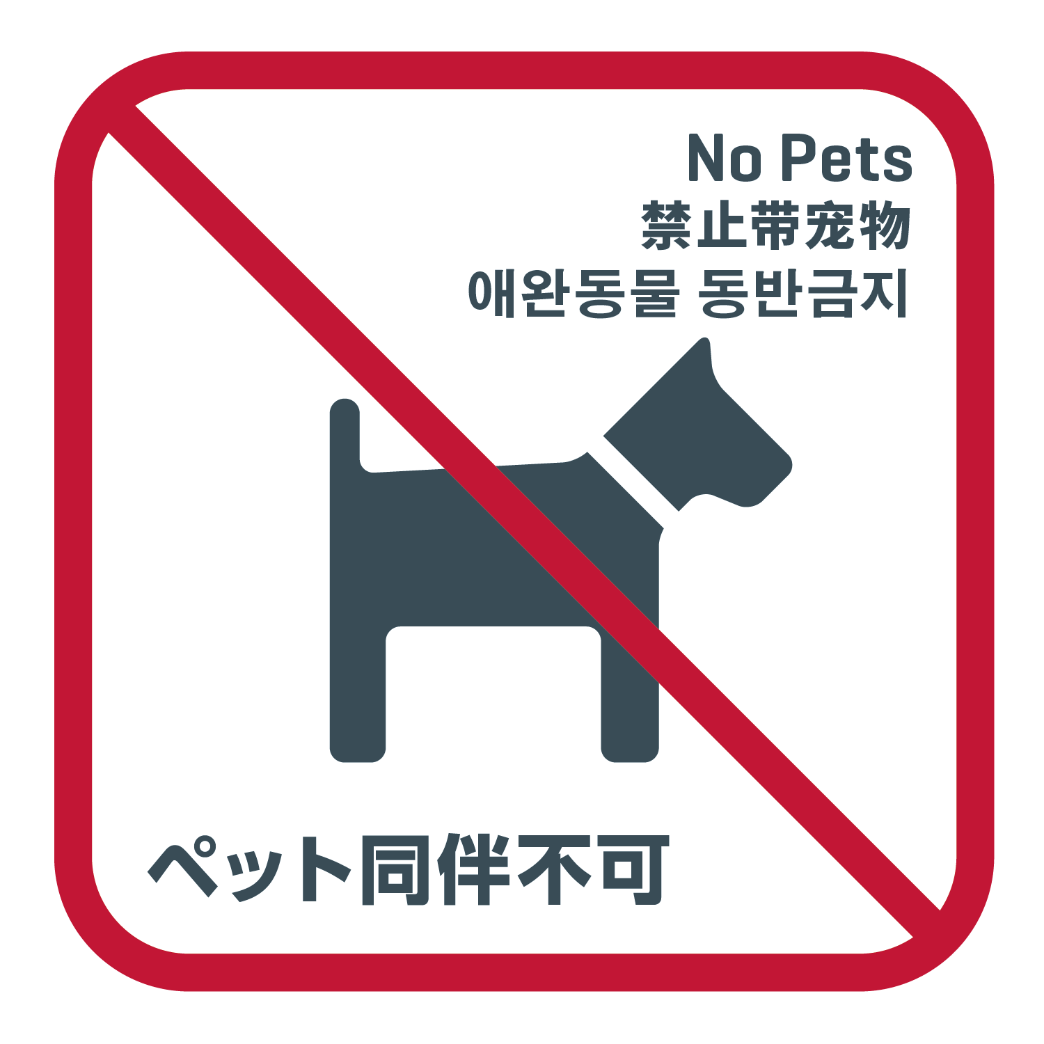 no pets